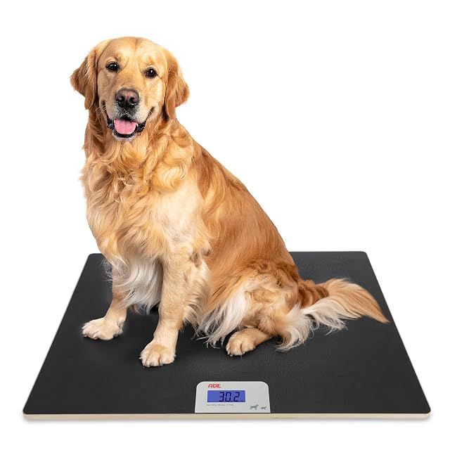 Bilancia digitale ADE XL a piattaforma per cani di taglia grande
