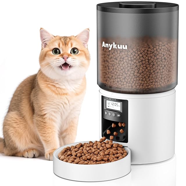 Distributore automatico Anykuu da 4 L con timer