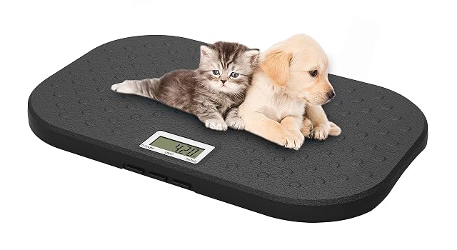 Bilancia veterinaria digitale i-pouch EB527 per animali
